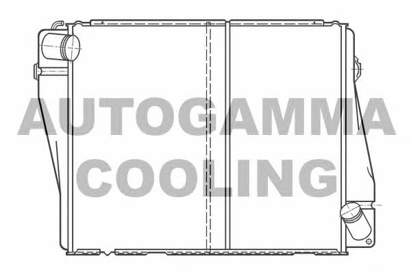 Autogamma 100081 Radiator, engine cooling 100081