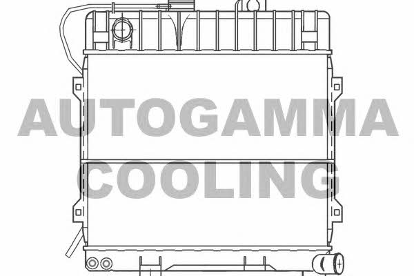Autogamma 100089 Radiator, engine cooling 100089
