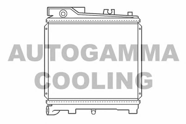 Autogamma 100095 Radiator, engine cooling 100095
