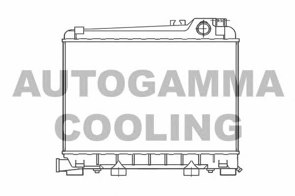 Autogamma 100119 Radiator, engine cooling 100119