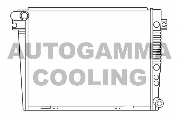 Autogamma 100135 Radiator, engine cooling 100135