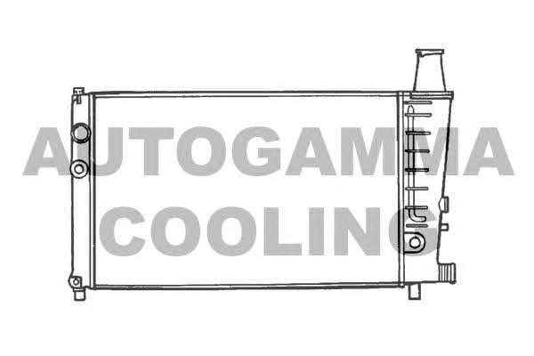 Autogamma 100166 Radiator, engine cooling 100166