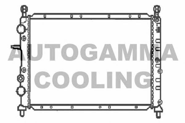 Autogamma 100266 Radiator, engine cooling 100266