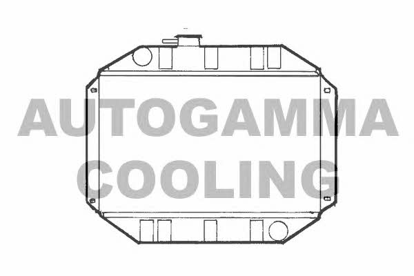 Autogamma 100320 Radiator, engine cooling 100320