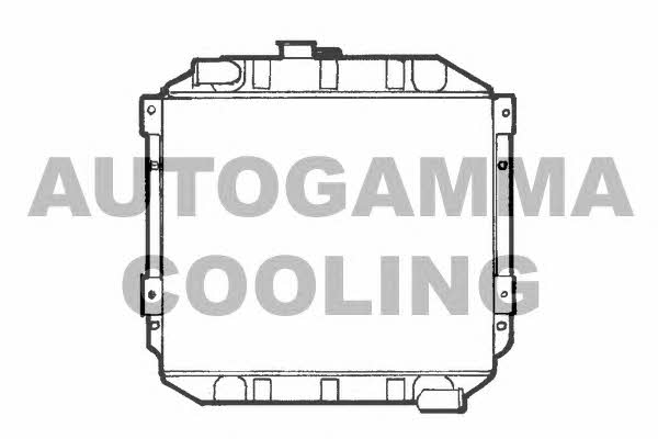 Autogamma 100325 Radiator, engine cooling 100325