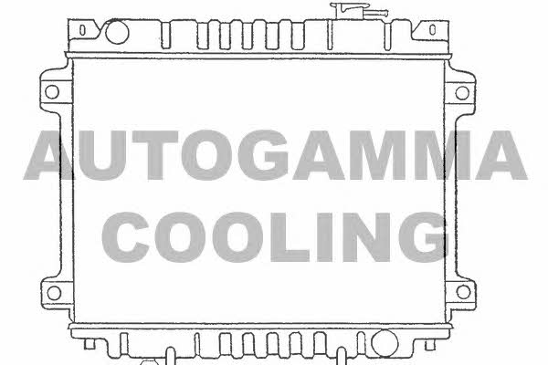 Autogamma 100494 Radiator, engine cooling 100494
