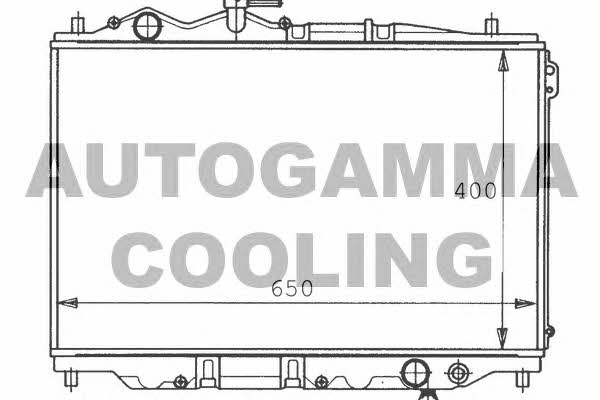 Autogamma 100498 Radiator, engine cooling 100498
