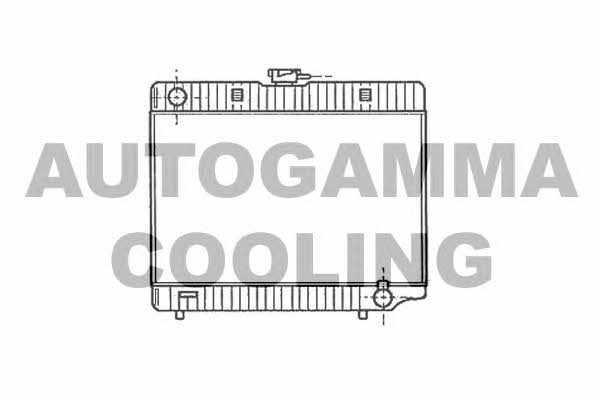 Autogamma 100534 Radiator, engine cooling 100534