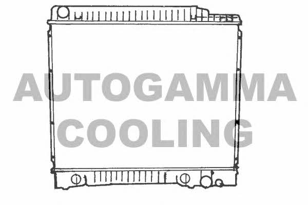 Autogamma 100537 Radiator, engine cooling 100537