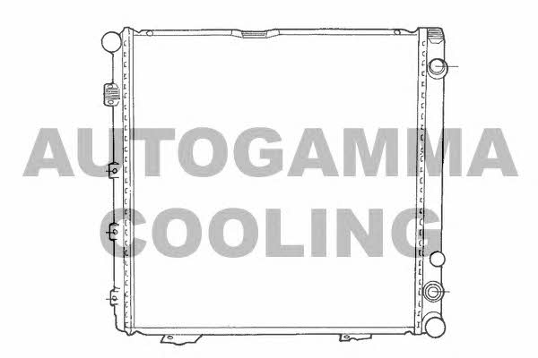 Autogamma 100539 Radiator, engine cooling 100539