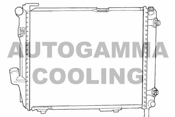 Autogamma 100544 Radiator, engine cooling 100544