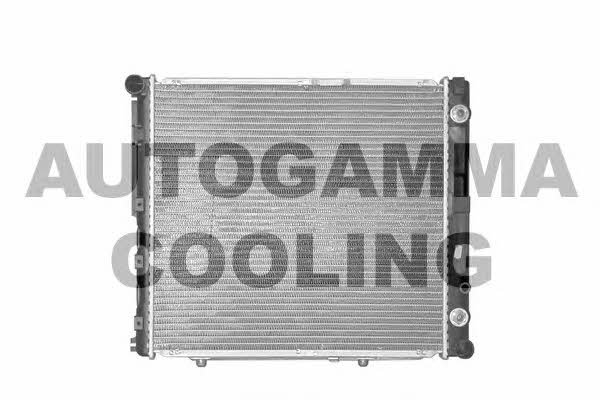 Autogamma 100549 Radiator, engine cooling 100549