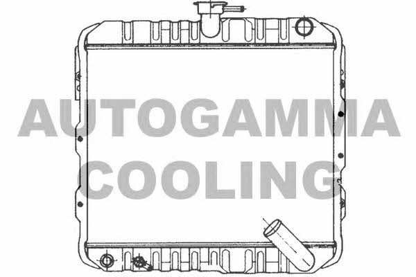 Autogamma 100566 Radiator, engine cooling 100566