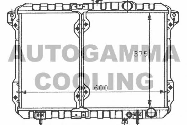 Autogamma 100581 Radiator, engine cooling 100581