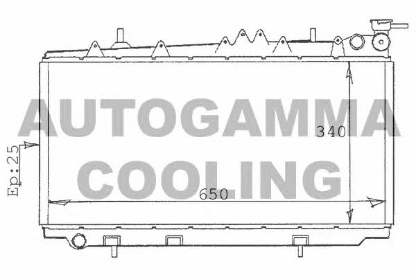 Autogamma 100629 Radiator, engine cooling 100629