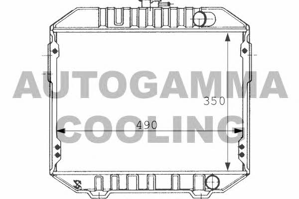Autogamma 101021 Radiator, engine cooling 101021
