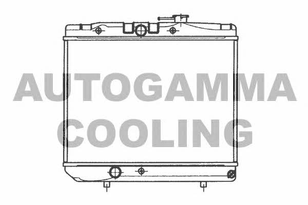 Autogamma 101029 Radiator, engine cooling 101029
