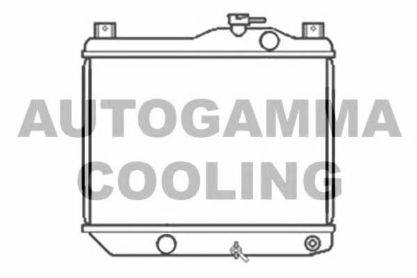 Autogamma 101032 Radiator, engine cooling 101032