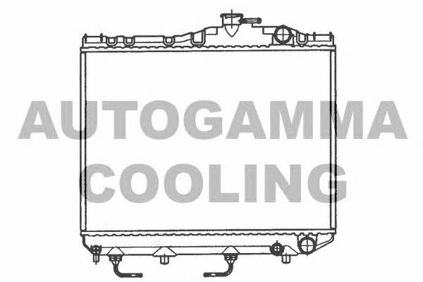 Autogamma 101035 Radiator, engine cooling 101035