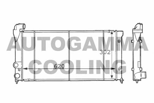 Autogamma 101036 Radiator, engine cooling 101036