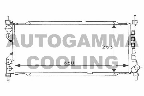 Autogamma 100675 Radiator, engine cooling 100675