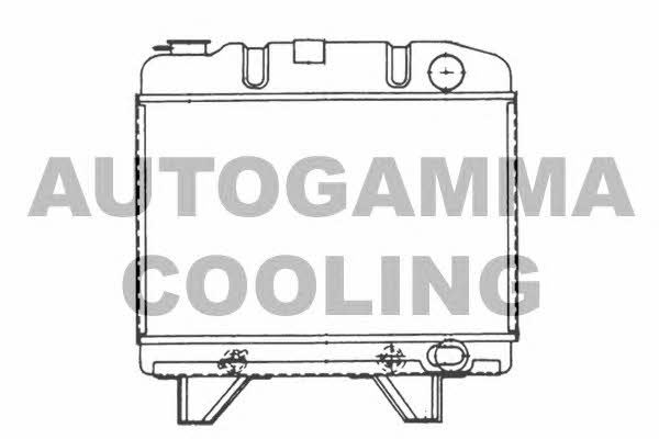 Autogamma 100786 Radiator, engine cooling 100786