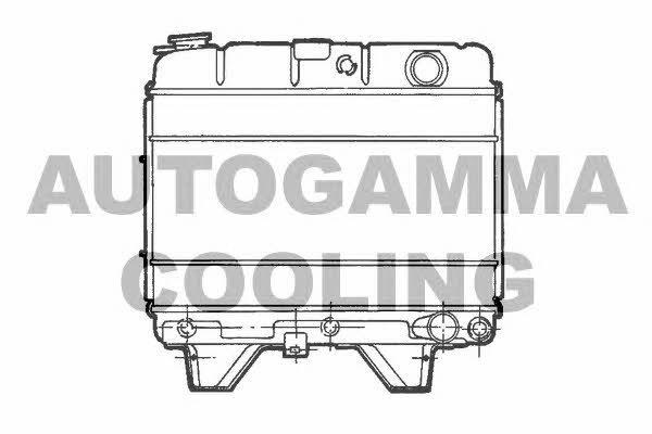 Autogamma 100787 Radiator, engine cooling 100787