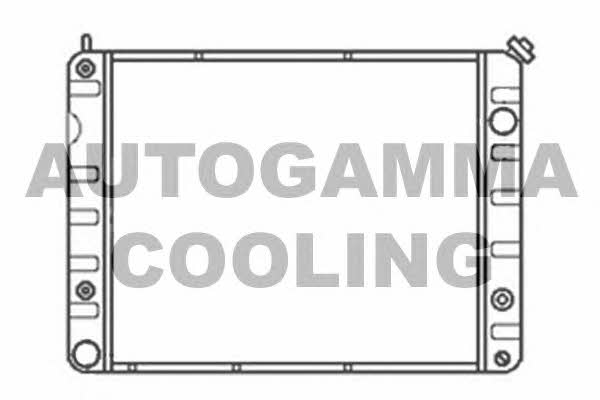Autogamma 100789 Radiator, engine cooling 100789