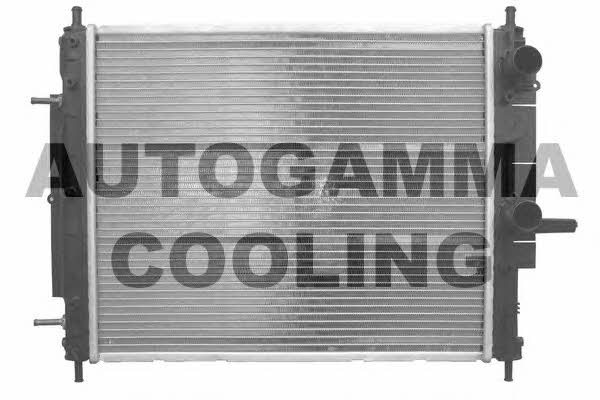 Autogamma 101171 Radiator, engine cooling 101171