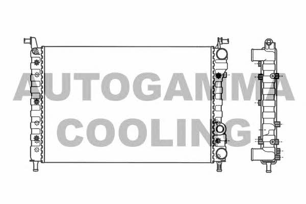 Autogamma 101189 Radiator, engine cooling 101189