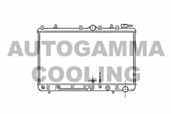 Autogamma 101204 Radiator, engine cooling 101204