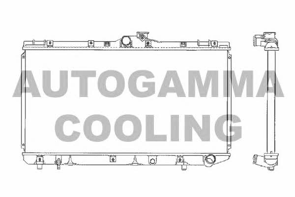 Autogamma 101273 Radiator, engine cooling 101273