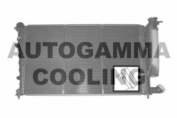 Autogamma 101313 Radiator, engine cooling 101313