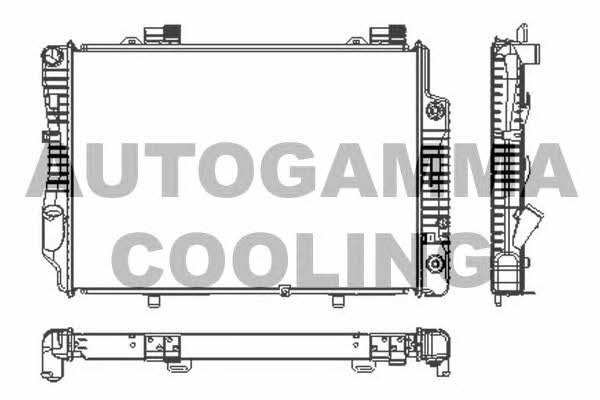 Autogamma 101317 Radiator, engine cooling 101317