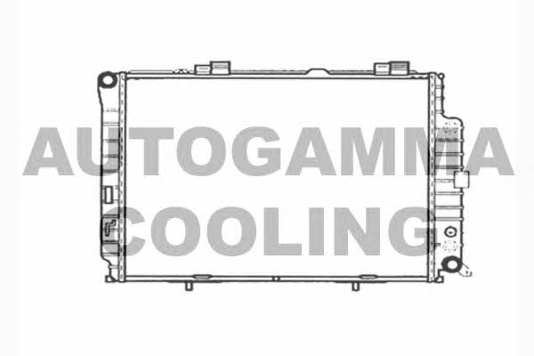 Autogamma 101382 Radiator, engine cooling 101382