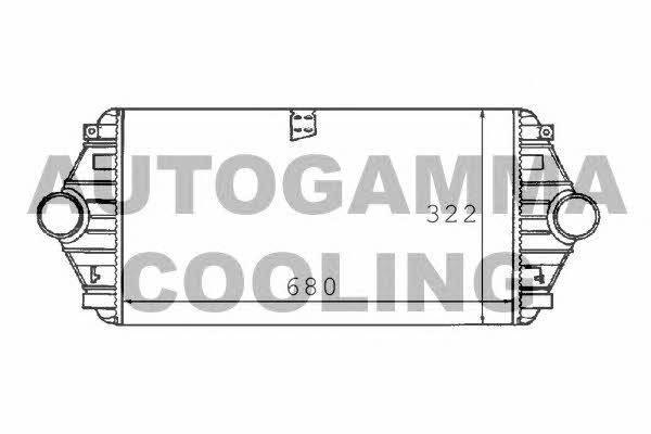 Autogamma 101491 Intercooler, charger 101491