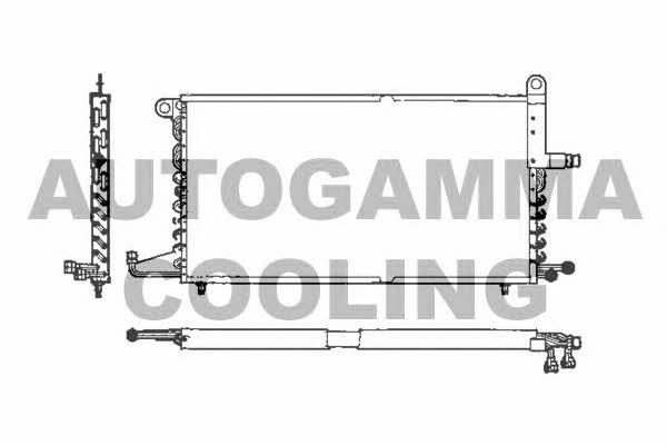 Autogamma 101721 Cooler Module 101721