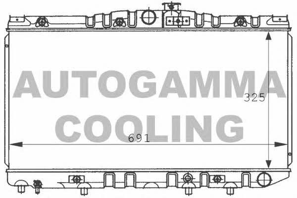 Autogamma 100993 Radiator, engine cooling 100993