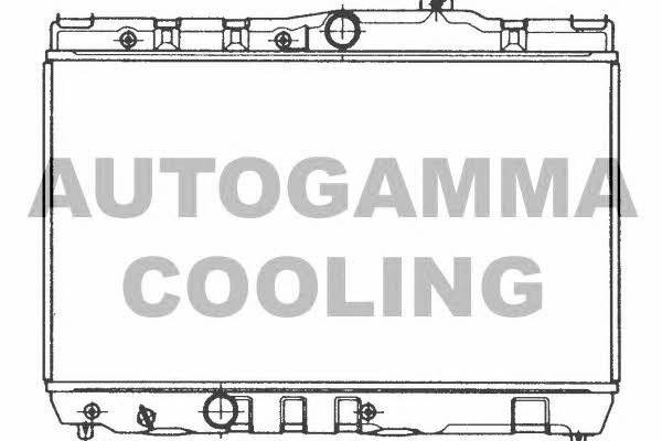 Autogamma 101002 Radiator, engine cooling 101002