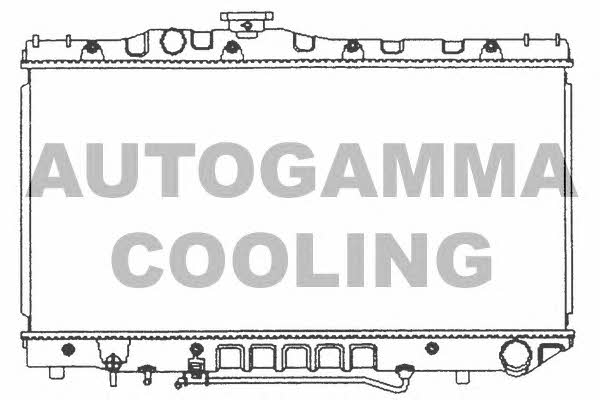 Autogamma 101006 Radiator, engine cooling 101006