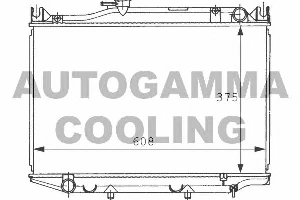Autogamma 101007 Radiator, engine cooling 101007