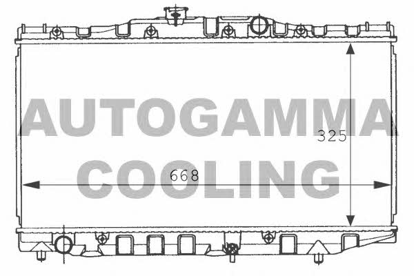 Autogamma 101013 Radiator, engine cooling 101013