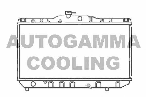 Autogamma 101016 Radiator, engine cooling 101016