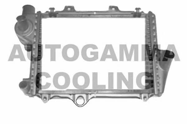 Autogamma 104324 Radiator, engine cooling 104324
