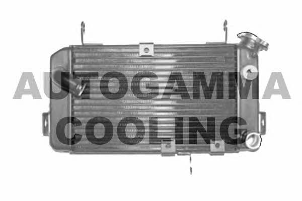 Autogamma 104341 Radiator, engine cooling 104341