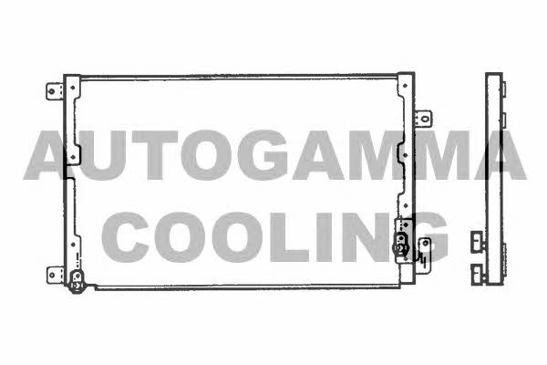 Autogamma 101821 Cooler Module 101821