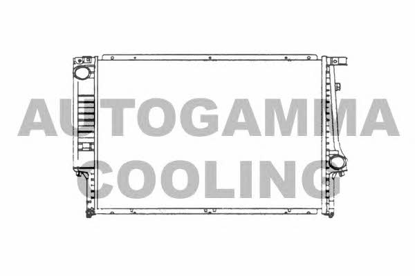 Autogamma 101982 Radiator, engine cooling 101982