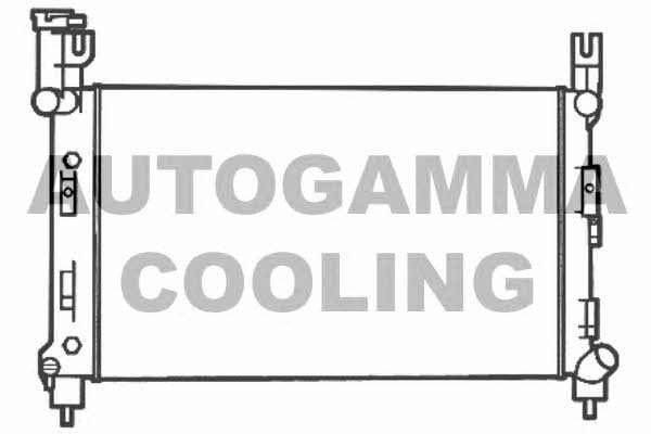 Autogamma 102044 Radiator, engine cooling 102044