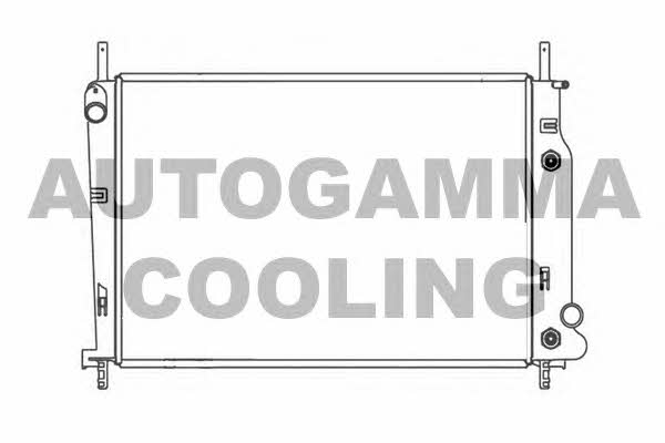 Autogamma 102069 Radiator, engine cooling 102069