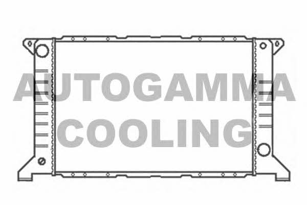 Autogamma 102077 Radiator, engine cooling 102077